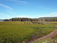 Yellowstone (6).JPG